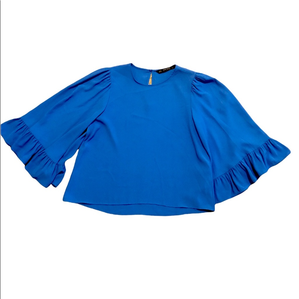 Zara ruffle sleeve top